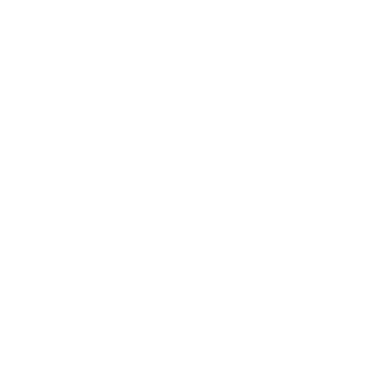 smash it in 6 logo white